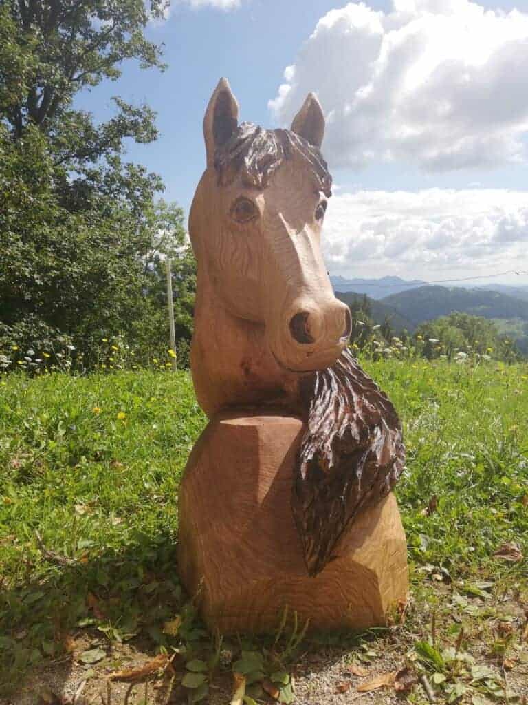 Izdelki iz lesa, konj